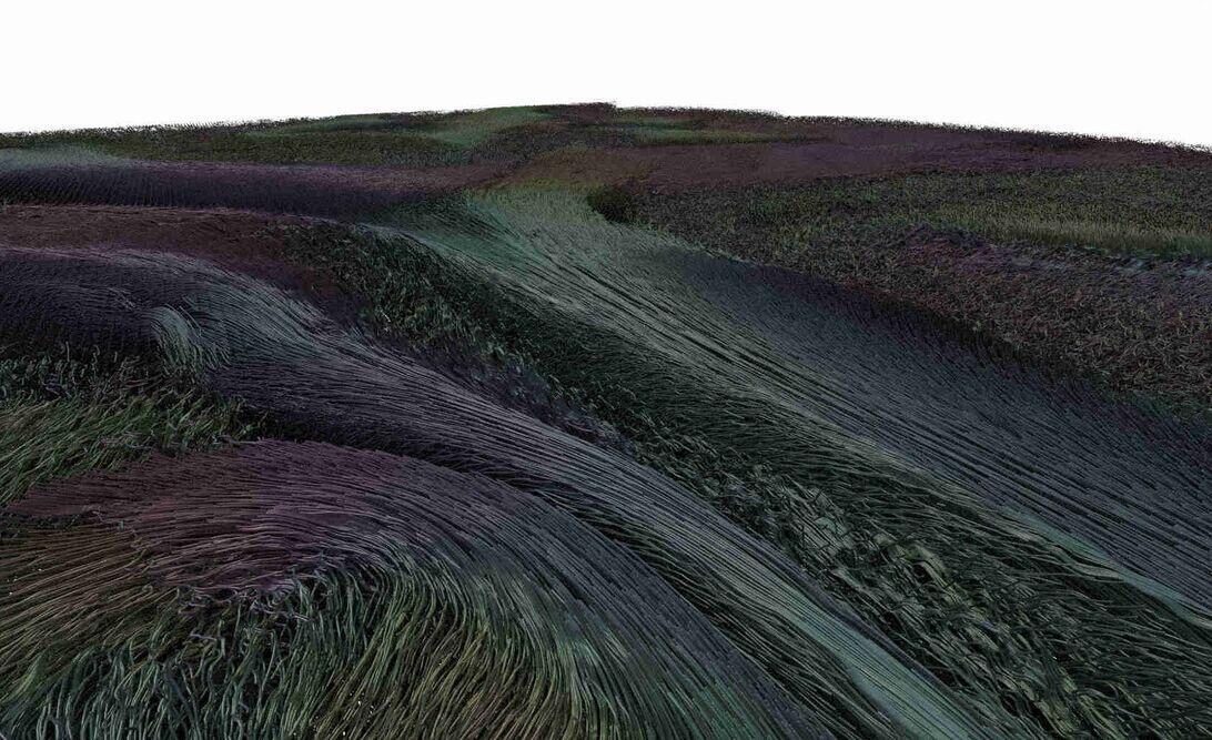 Visualization of neural structures, 2018